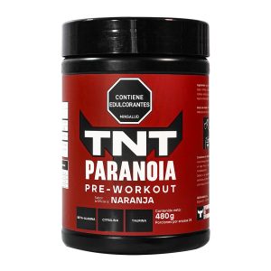 Paranoia Pre-Workout 480G